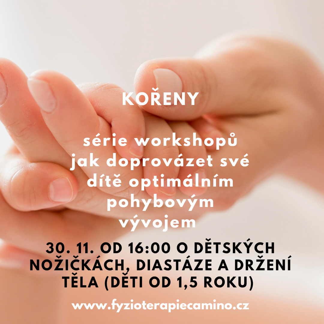 Kořeny 4