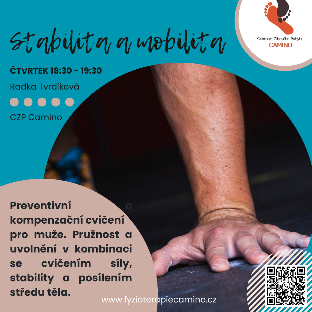 Stabilita a mobilita