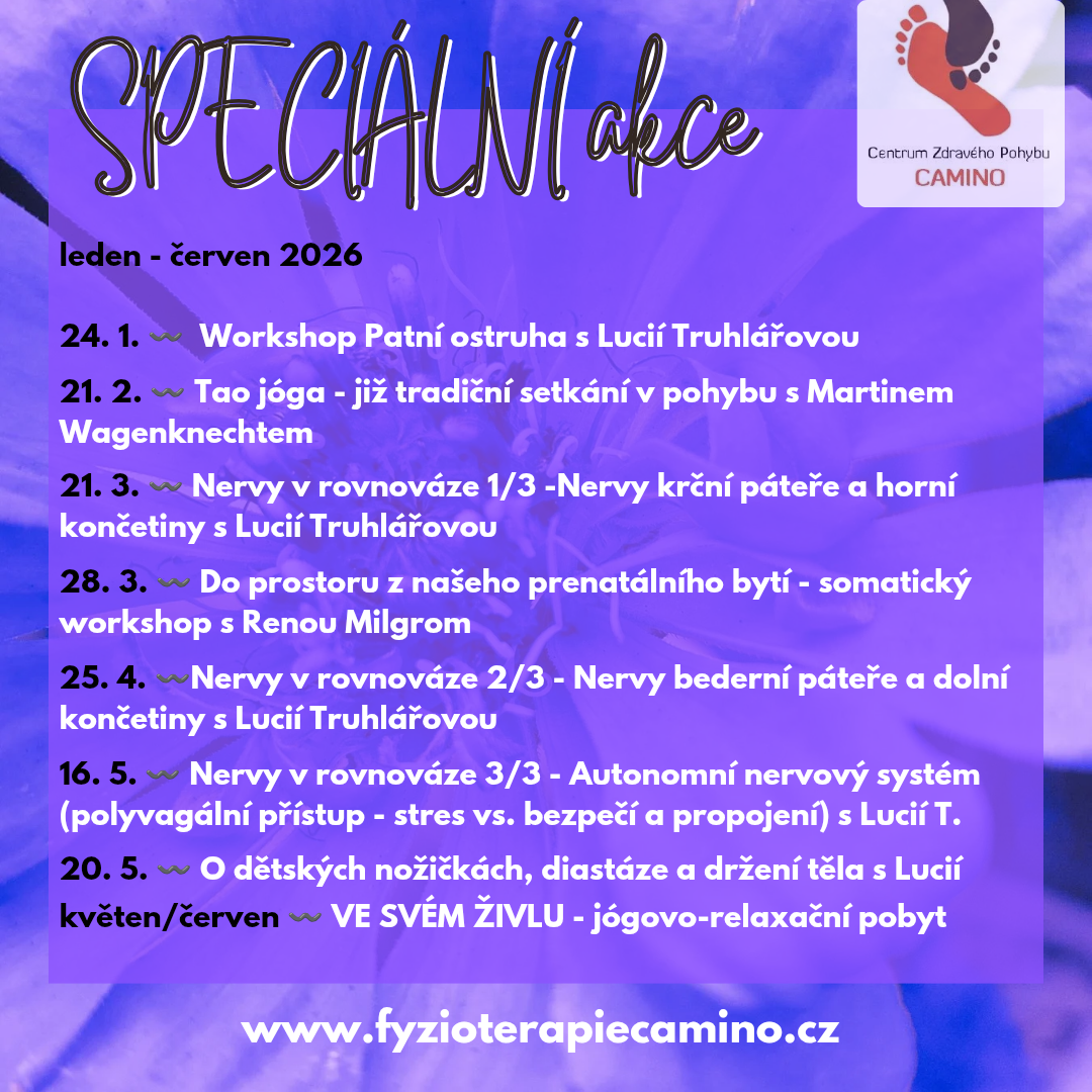 Speciální akce a workshopy
